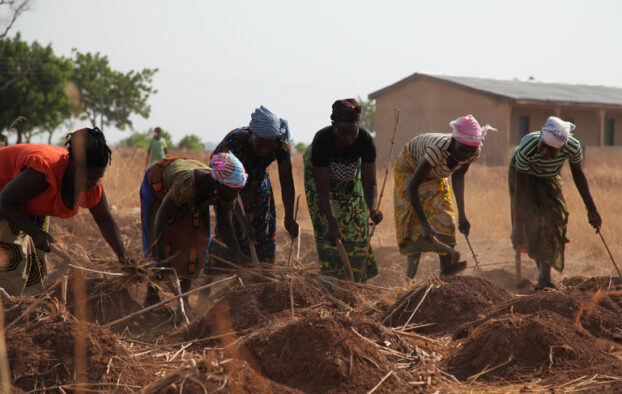 The app helping farmers weather the climate crisis in West Africa
